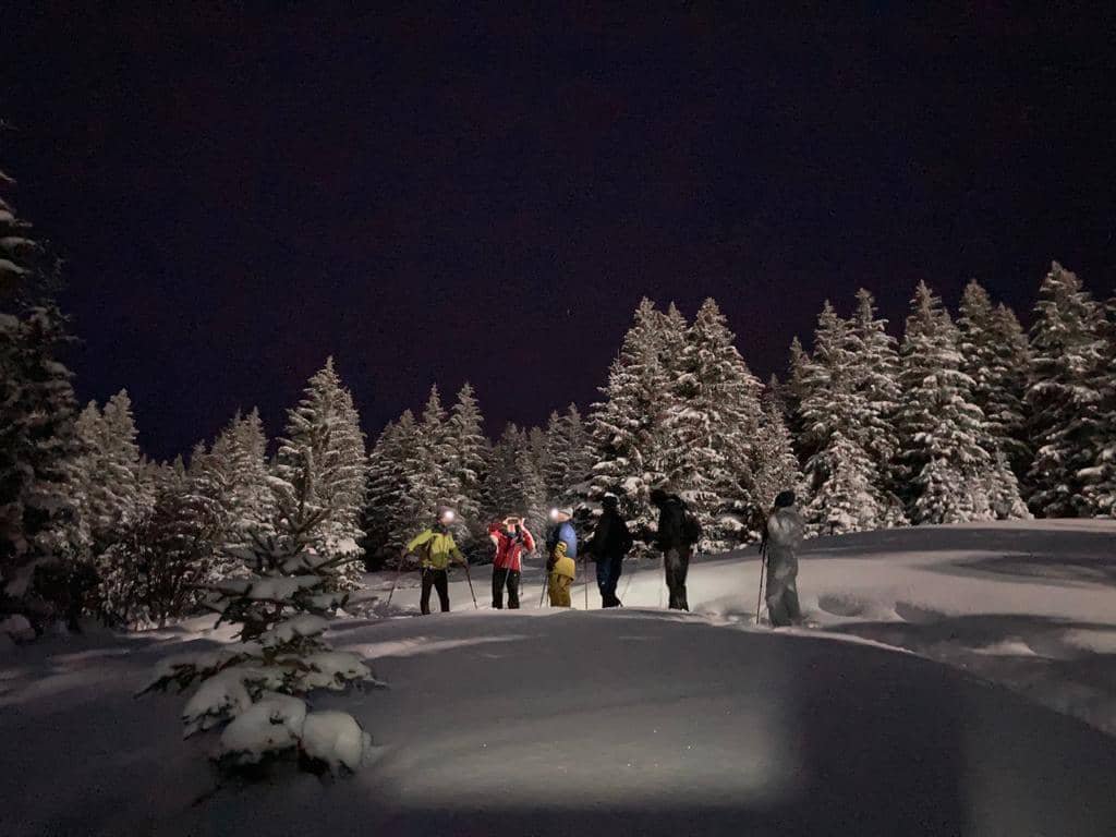 snoshoe tour bilde