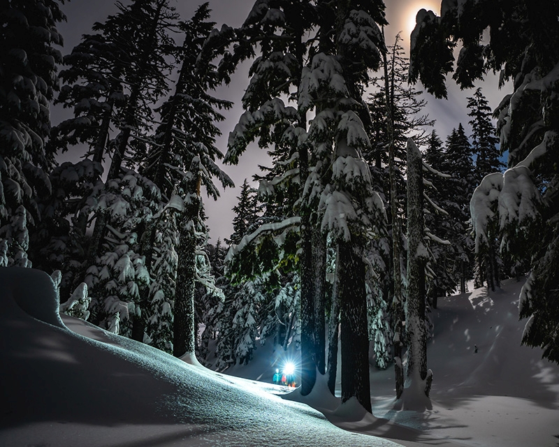 snowshoe wanderlust tours
